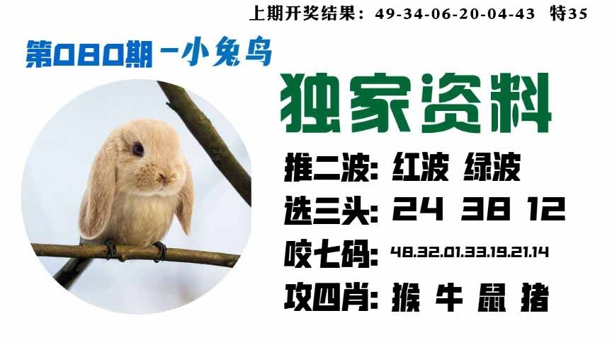 080期小兔鸟[图]