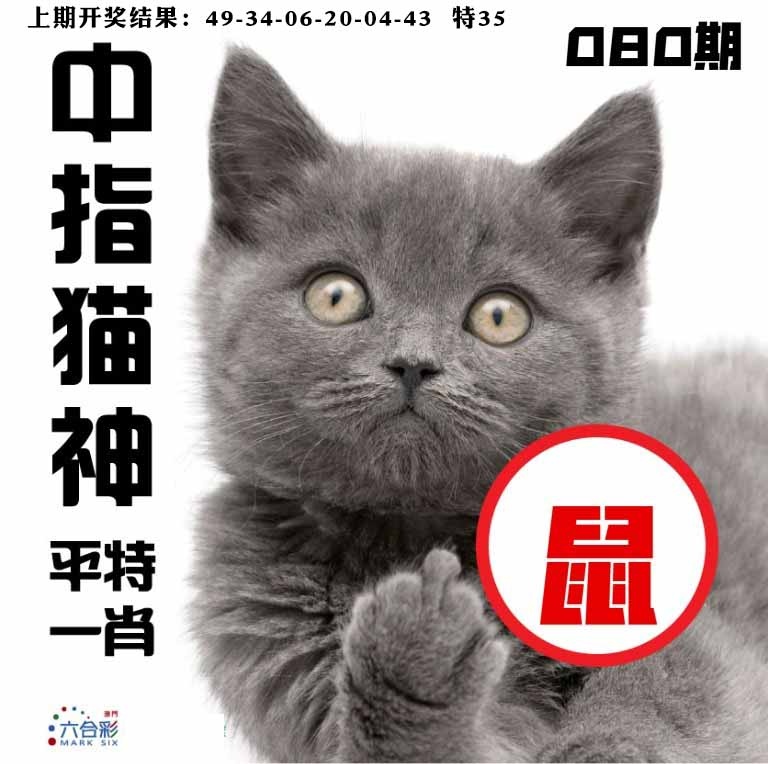 080期中指猫神[图]